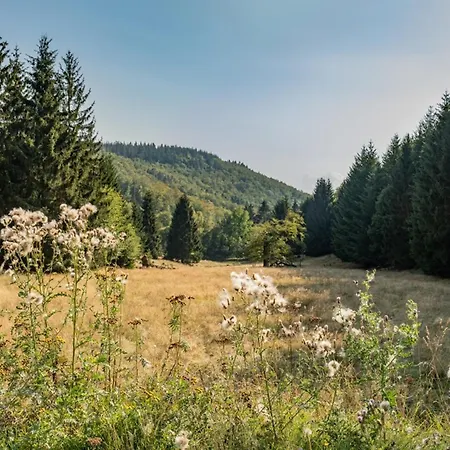 Waldpark Kraetzersrasen Fh4 *